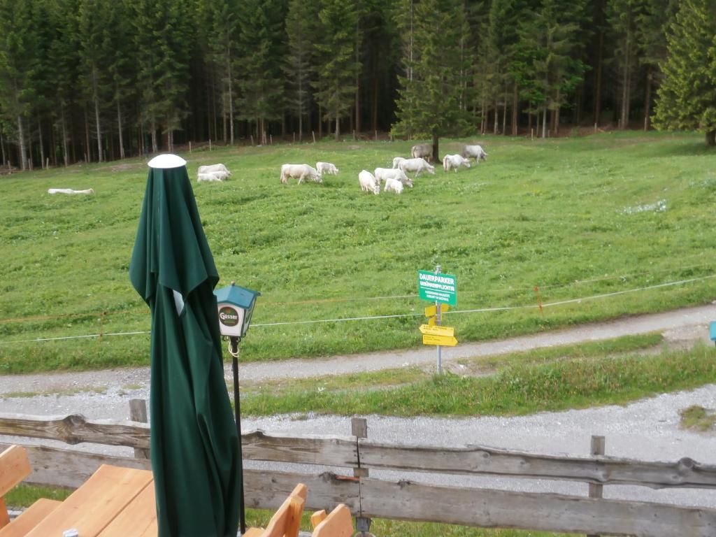 Gasthof Untere Valentinalm Otel Plöcken Dış mekan fotoğraf